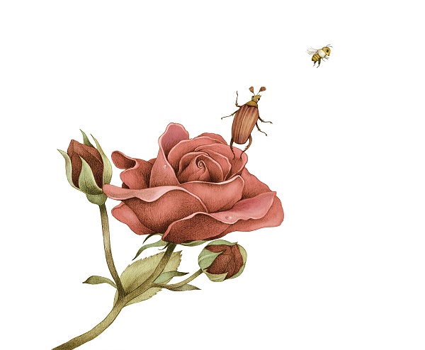 Ilustración de Las aventuras de la abeja Maya