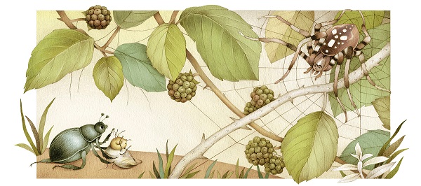 Ilustración de Las aventuras de la abeja Maya