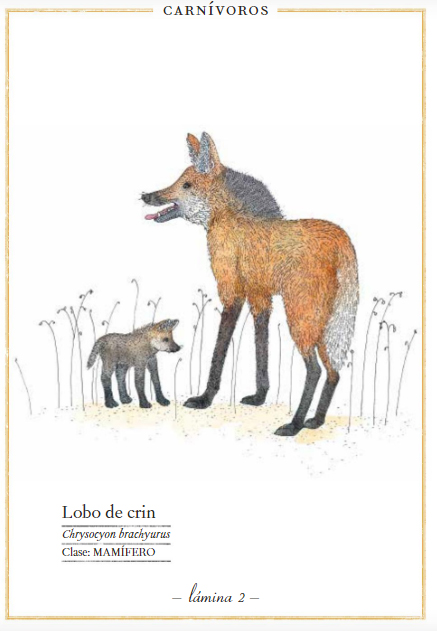 Ilustración de Bellezas de la Naturaleza