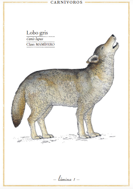 Ilustración de Bellezas de la Naturaleza