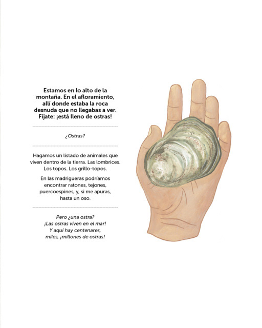 Ilustración de Un millón de ostras en lo alto de la montaña