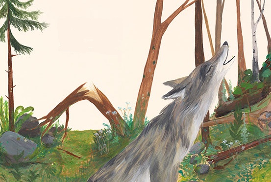 Ilustración de El viejo lobo