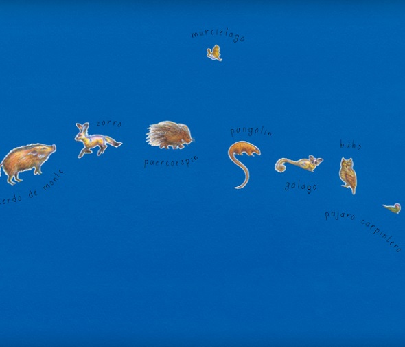 Ilustración de La noche de Nandi