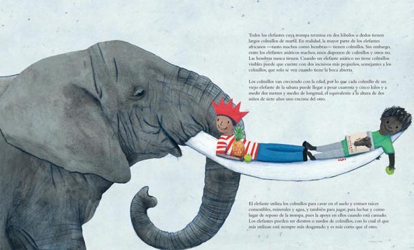 Ilustración de El elefante