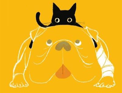 Ilustración de Rady, el gato enfermero