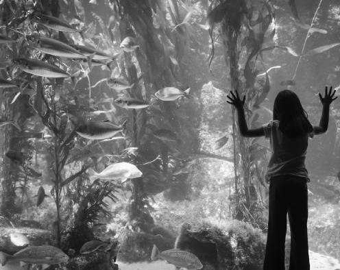 Ilustración de Vitamina N