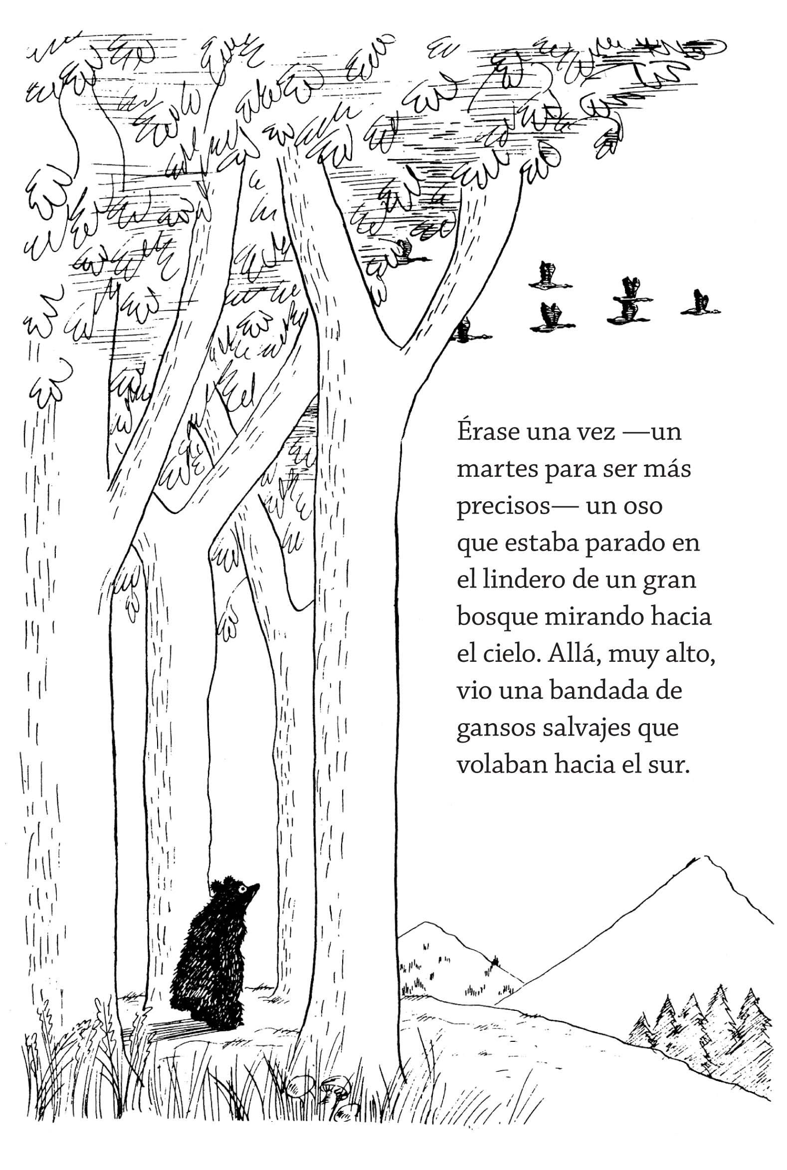 Ilustración de El oso que no lo era