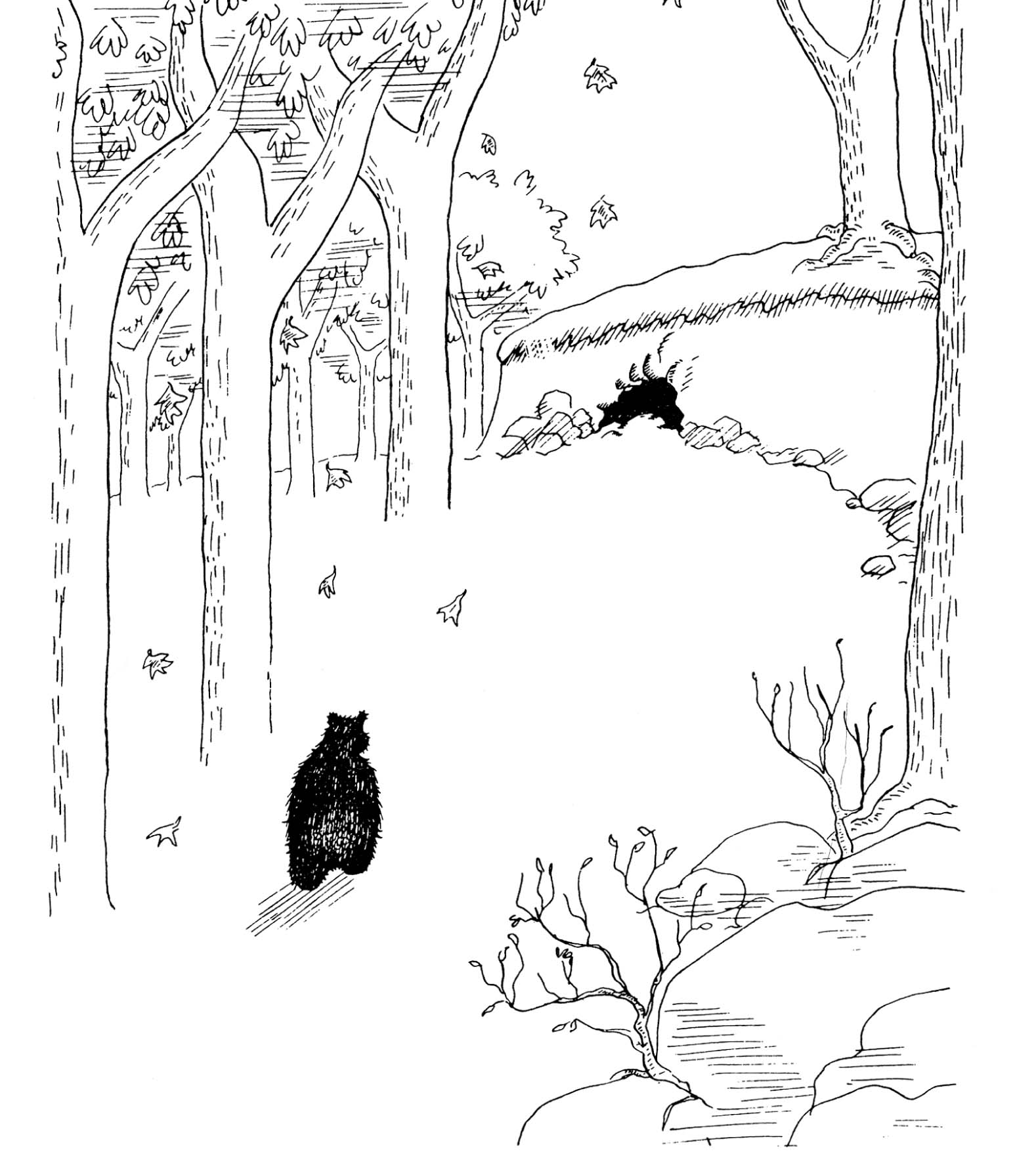 Ilustración de El oso que no lo era