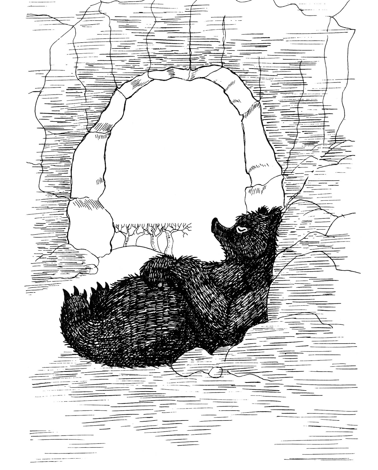 Ilustración de El oso que no lo era