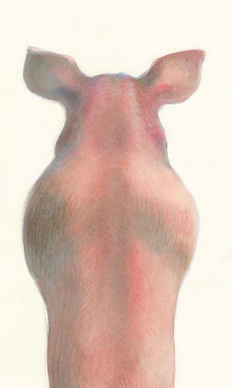 Ilustración de Nadie como yo