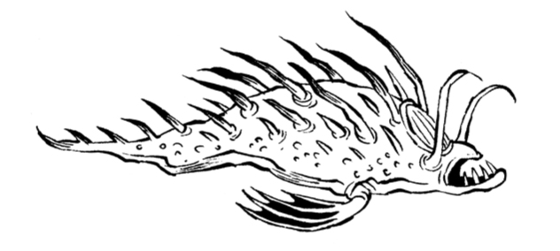 Ilustración de Malamandra