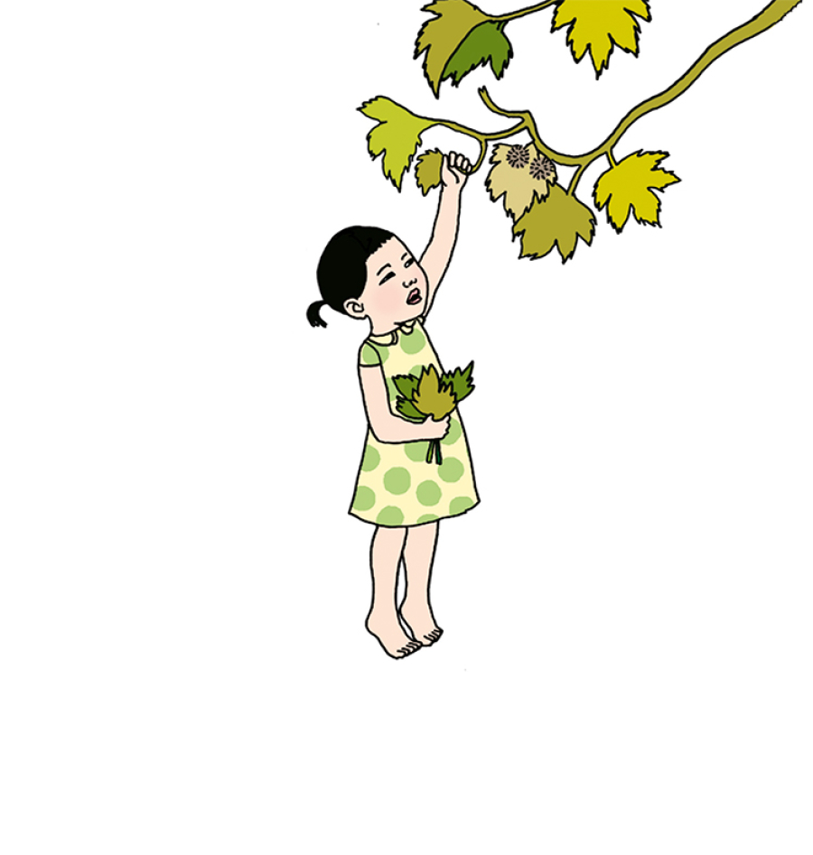Ilustración de Sofía y las lechuguitas 