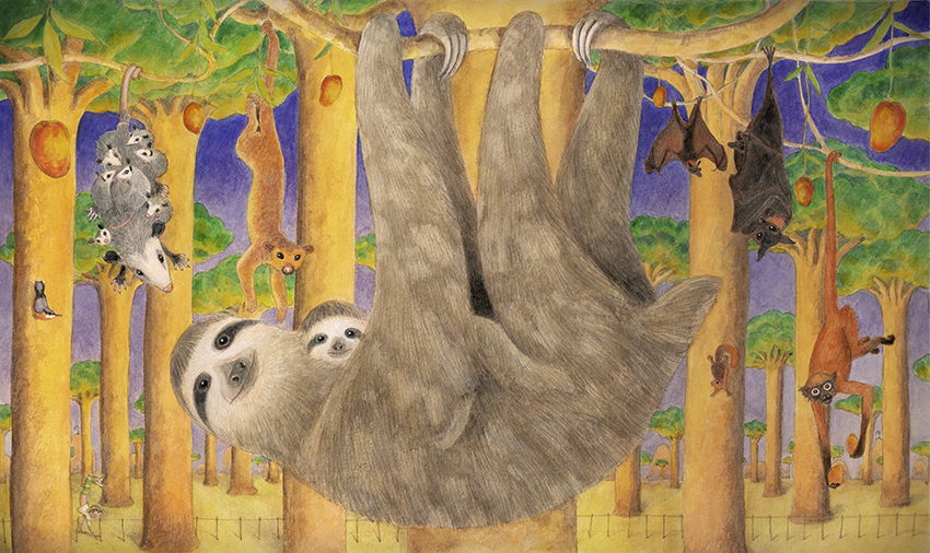Ilustración de Zoo