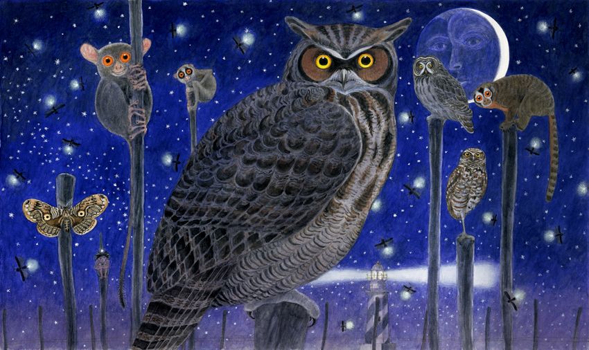 Ilustración de Zoo
