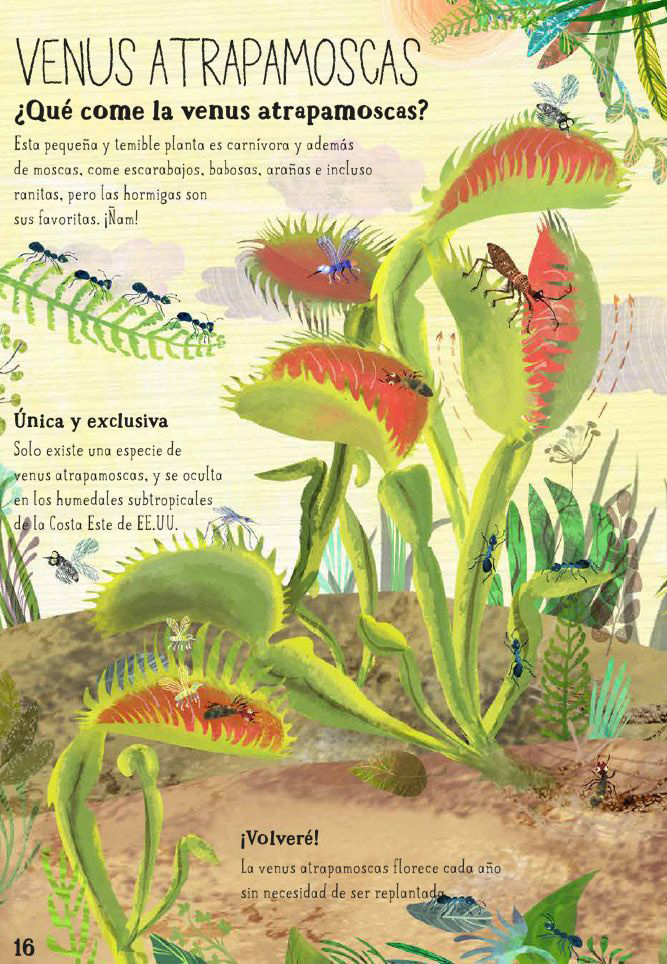 Ilustración de El gran libro de las flores