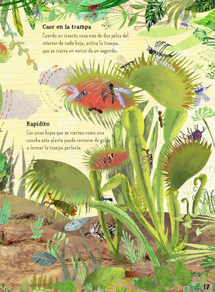 Ilustración de El gran libro de las flores