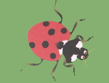Ilustración de Mis vecinos los insectos