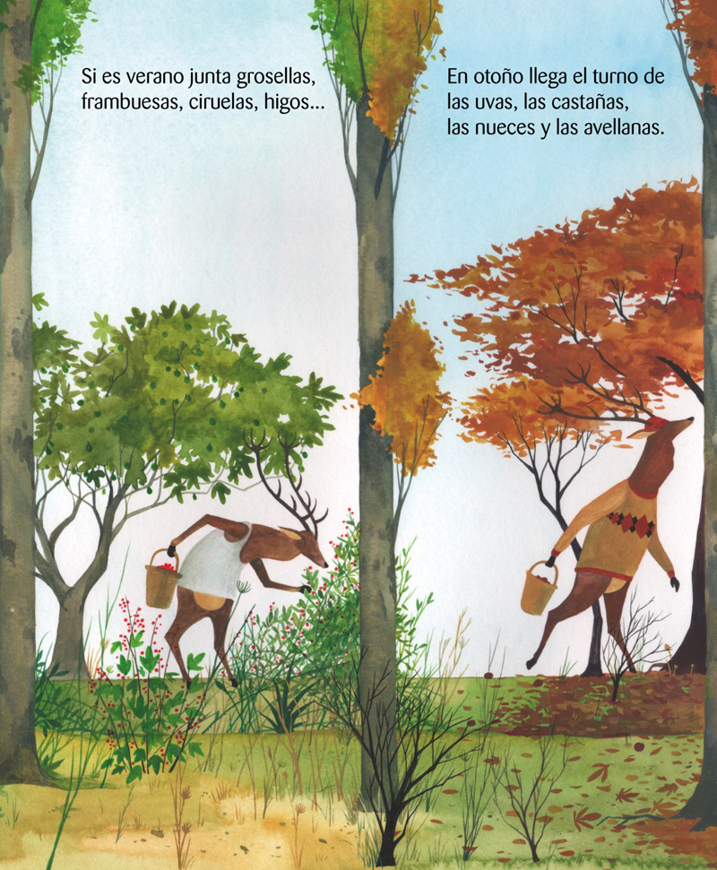 Ilustración de Un misterio en el bosque