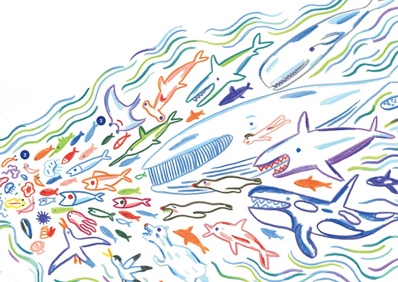 Ilustración de Plasticus maritimus, una especie invasora 