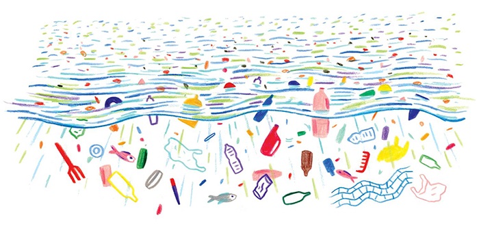 Ilustración de Plasticus maritimus, una especie invasora 