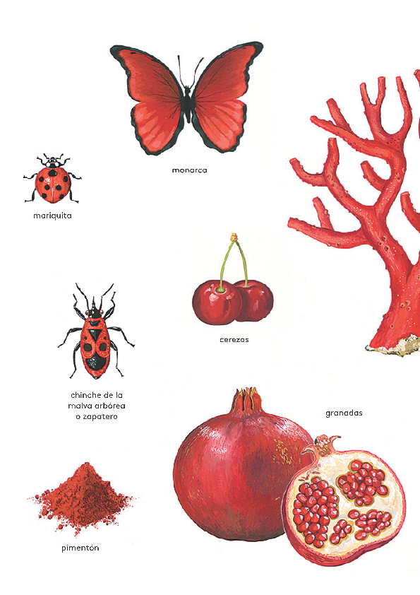 Ilustración de Todo es de color
