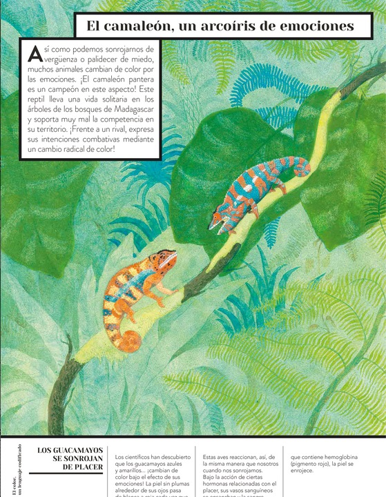 Ilustración de Color animal