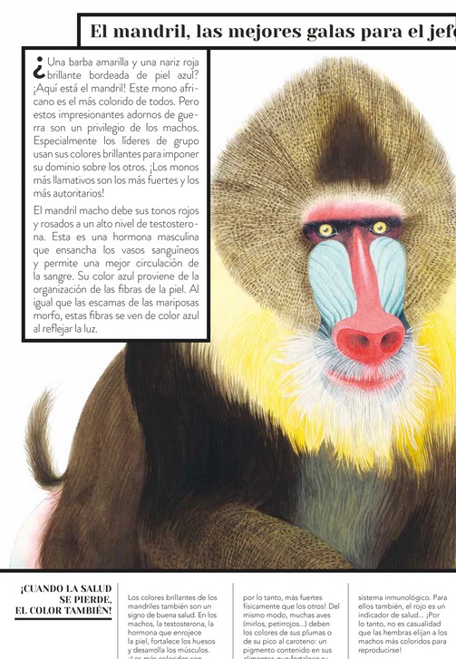 Ilustración de Color animal