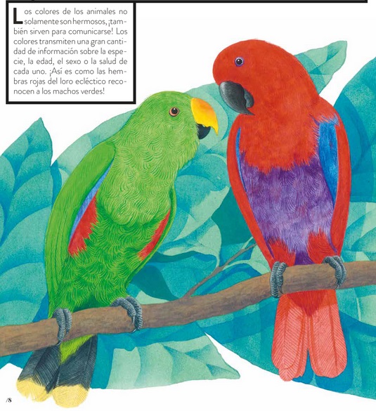 Ilustración de Color animal