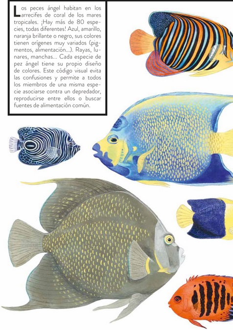 Ilustración de Color animal