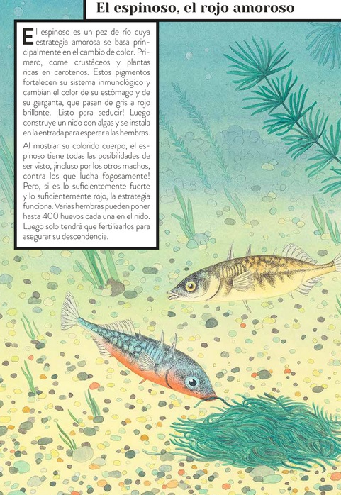 Ilustración de Color animal