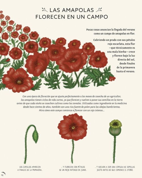 Ilustración de CON CALMA