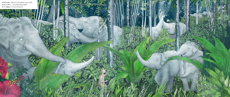 Ilustración de Cuando la selva desaparece