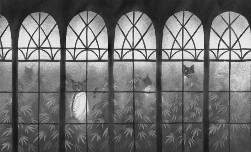 Ilustración de El divorcio de la gata blanca
