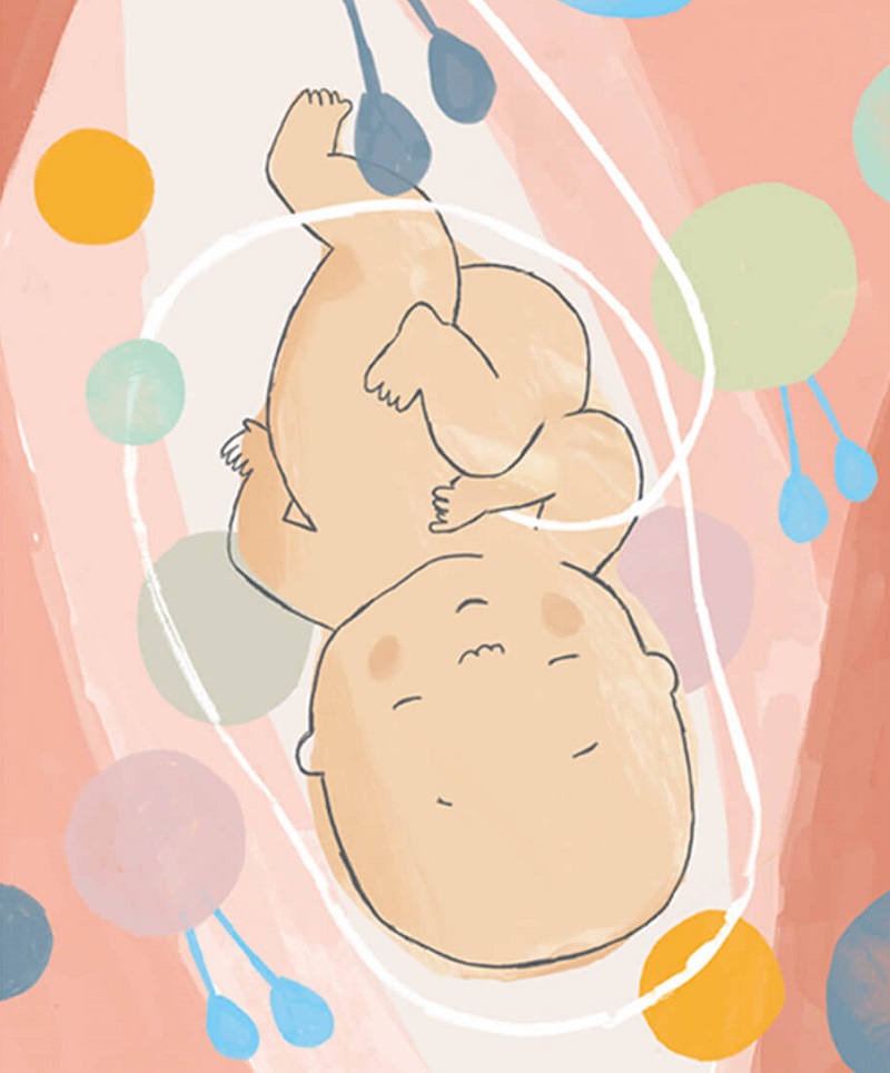 Ilustración de ¿Qué pasó en aquellos nueve meses?