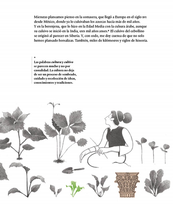 Ilustración de Mil tomates y una rana
