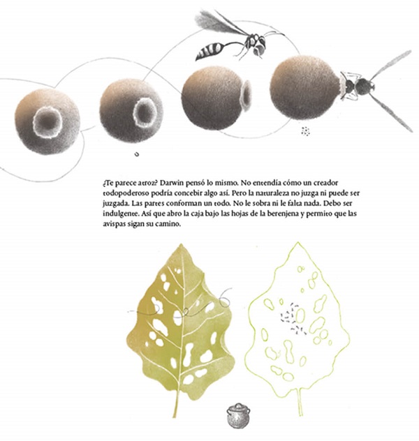 Ilustración de Mil tomates y una rana