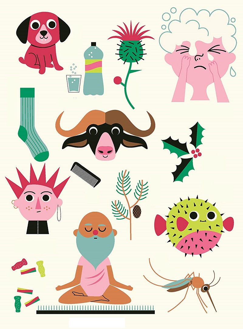 Ilustración de Minipedia