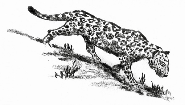 Ilustración de La cicatriz