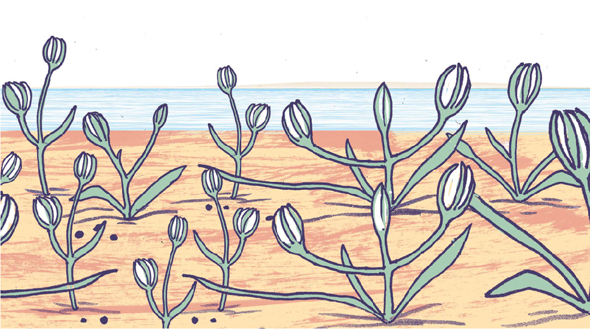 Ilustración de Soy Mar