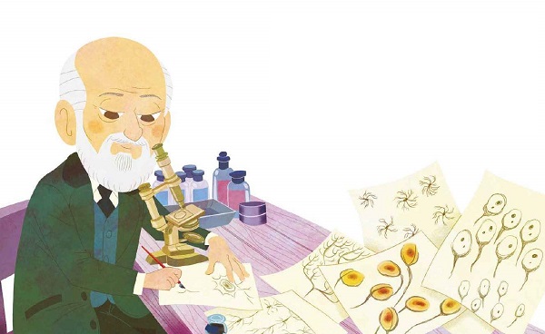 Ilustración de Ramón y Cajal