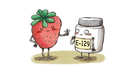 Ilustración de ¿Qué comemos?