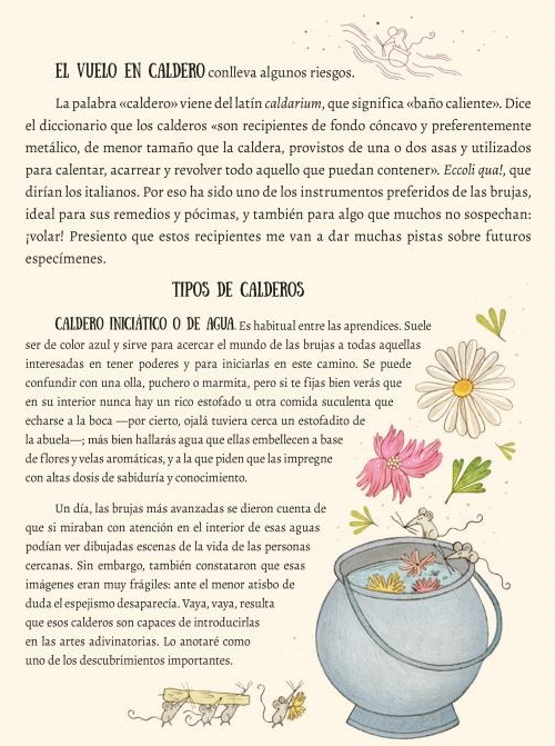 Ilustración de El vuelo de las brujas