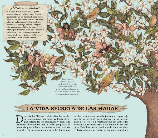 Ilustración de Historia natural de las hadas