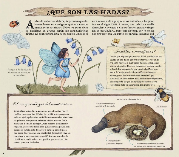 Ilustración de Historia natural de las hadas