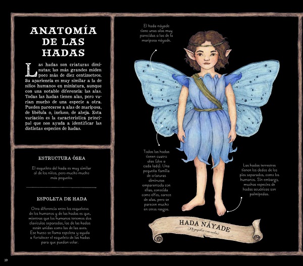Ilustración de Historia natural de las hadas
