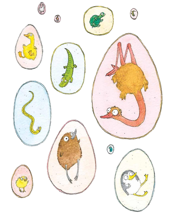Ilustración de En el huevo