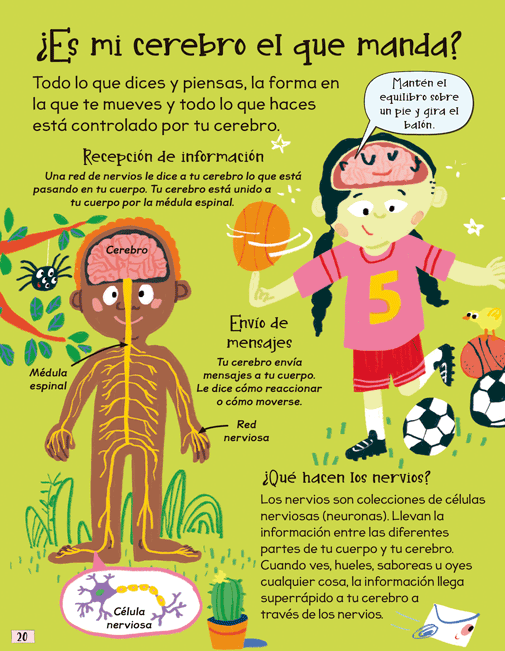 Ilustración de Preguntas y respuestas CURIOSAS sobre... MI CUERPO