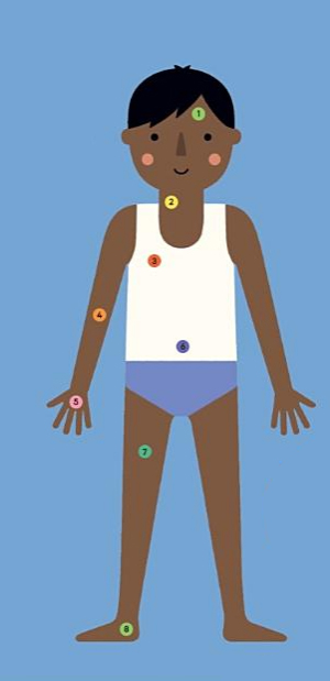 Ilustración de El cuerpo humano
