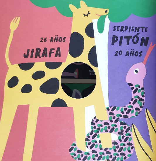 Ilustración de ¿Cuánto tiempo vive?