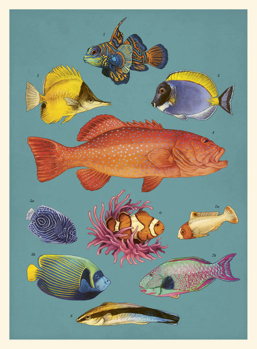 Ilustración de Oceanarium
